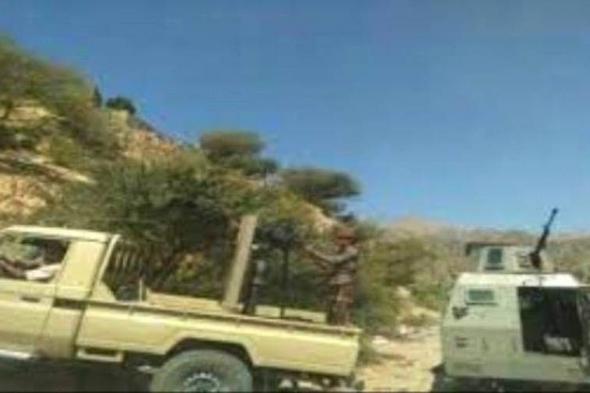  إفشال هجوم لمليشيات الحوثي شمالي طور الباحة