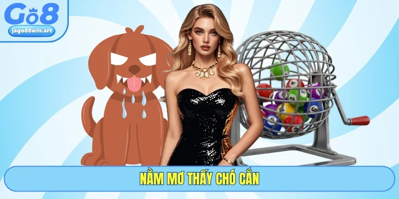 Nằm Mơ Thấy Chó Cắn Có Điểm Gì? Giải Mã Chi Tiết Tại GO8 1 Nằm Mơ Thấy Chó Cắn Có Điểm Gì? Giải Mã Chi Tiết Tại GO8